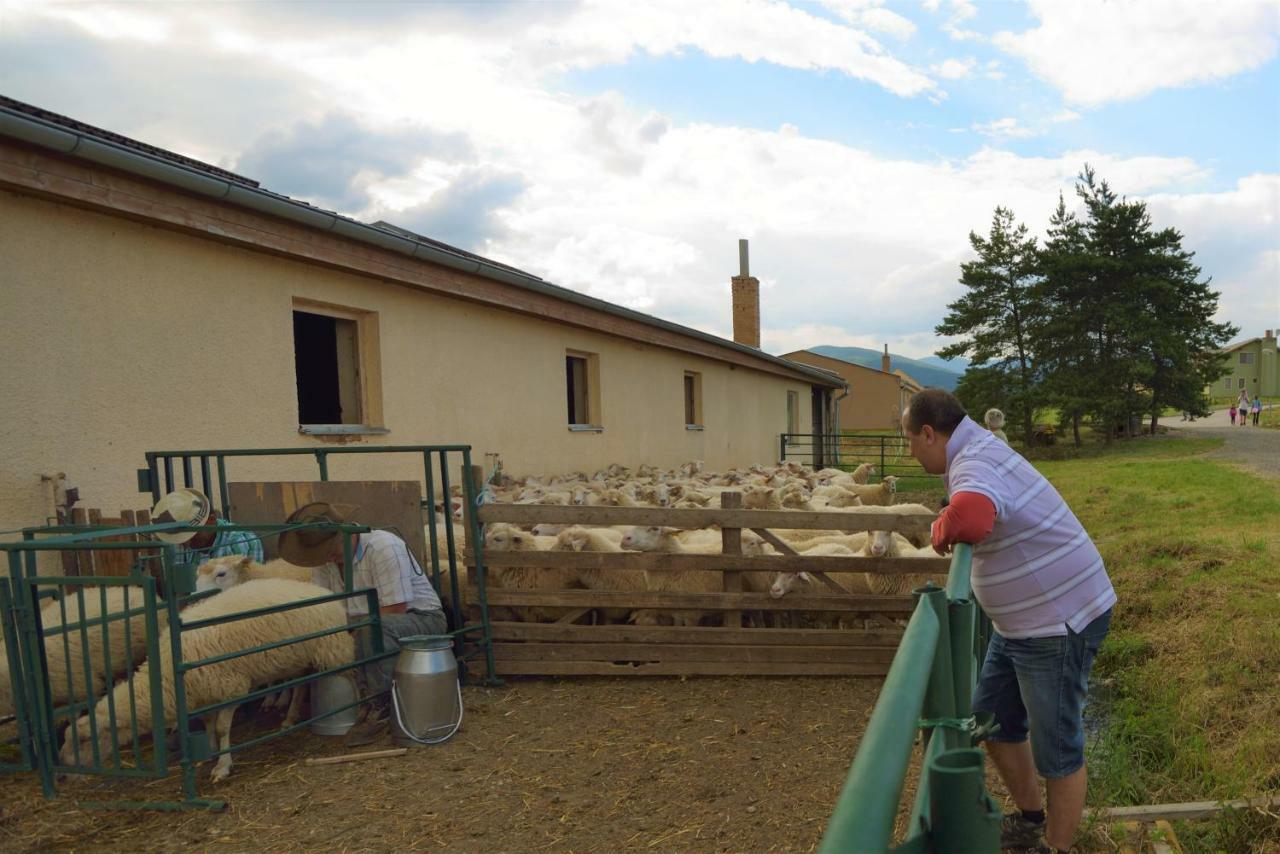Bio Farma & Penzion Zlaty Hyl Novacany Exterior foto